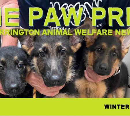 Warrington Animal Welfare newsletter Paw Print