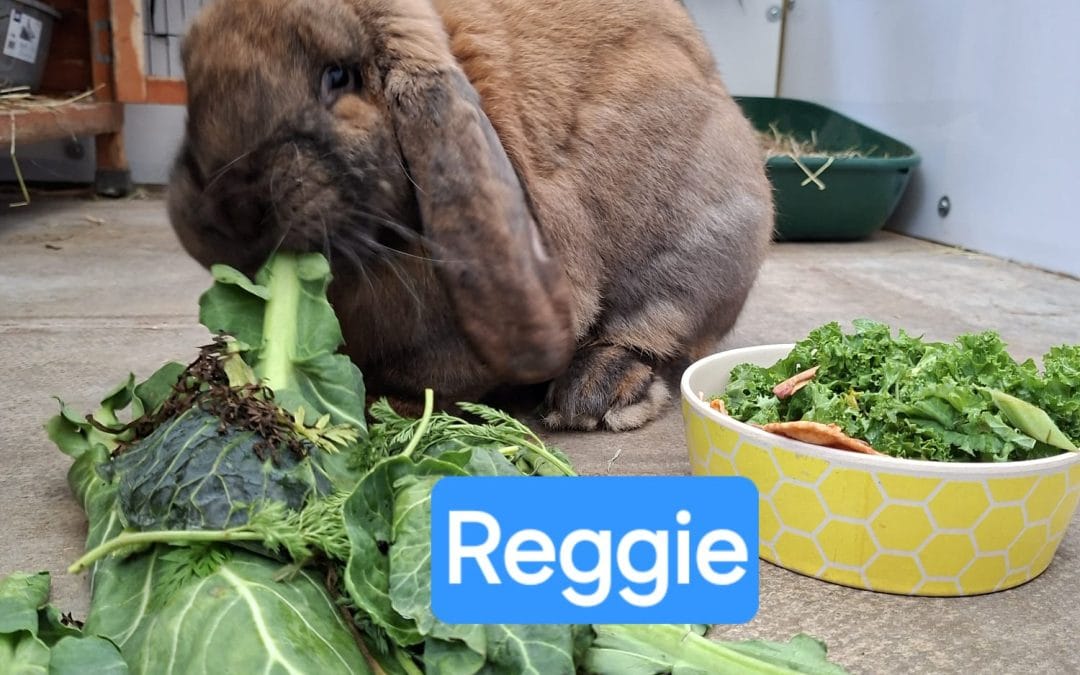 Reggie