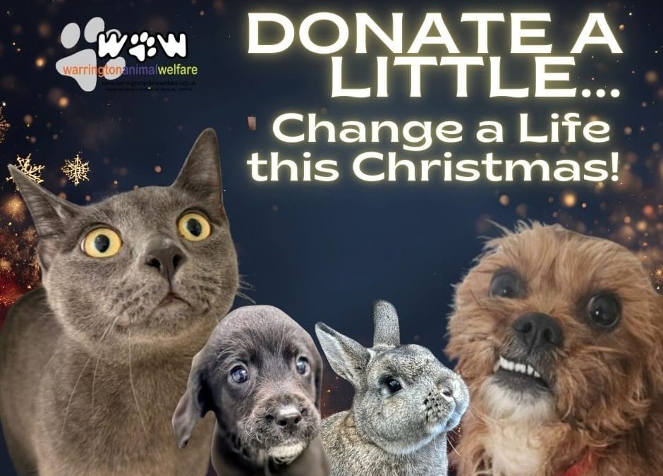Donate a Little, Change a Life this Christmas