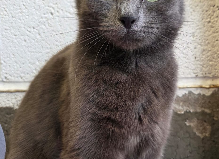 Missy