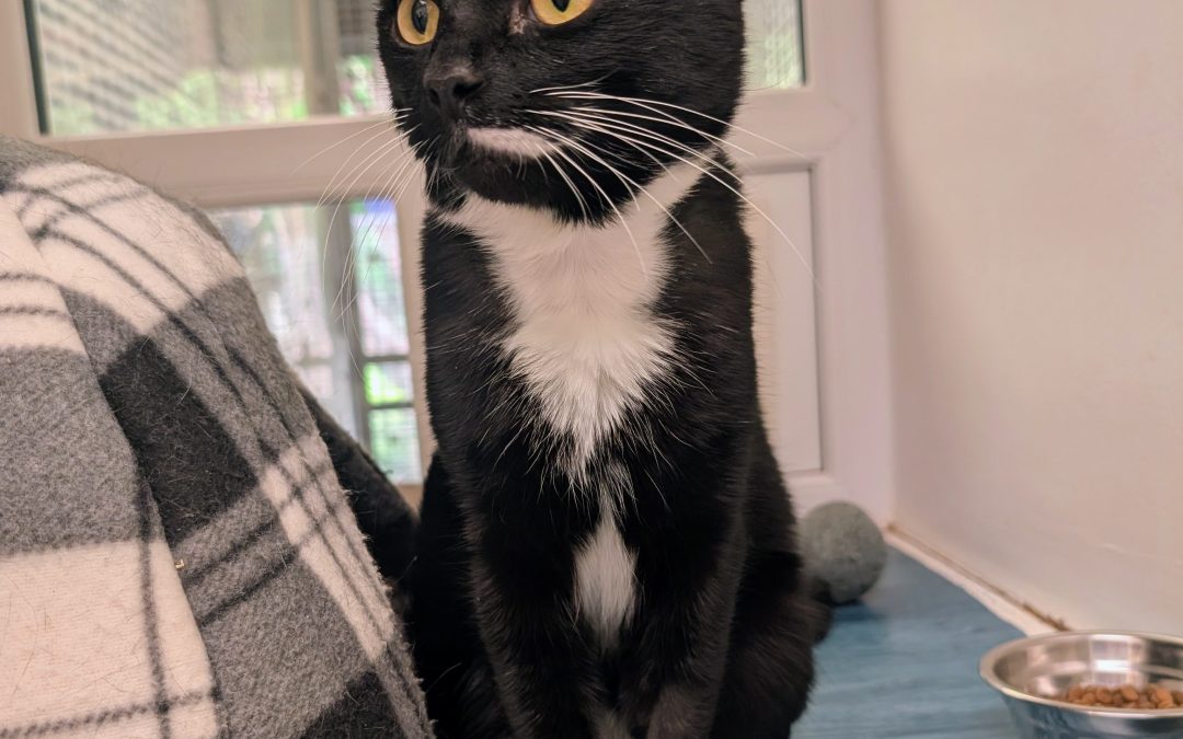 Oliver