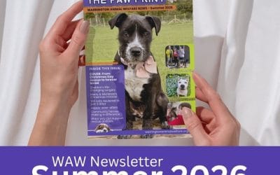 WAW Summer 2026 Newsletter – OUT NOW!