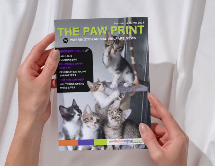 WAW Summer–Autumn 2025 newsletter – OUT NOW!
