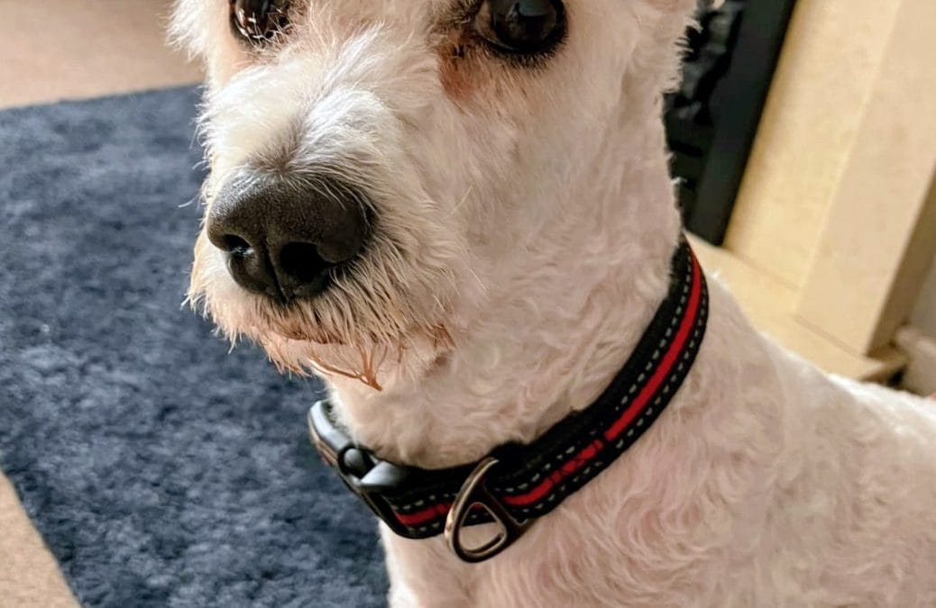 Bobby