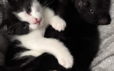 Ellie & Eddie