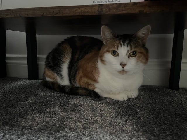 Smudge