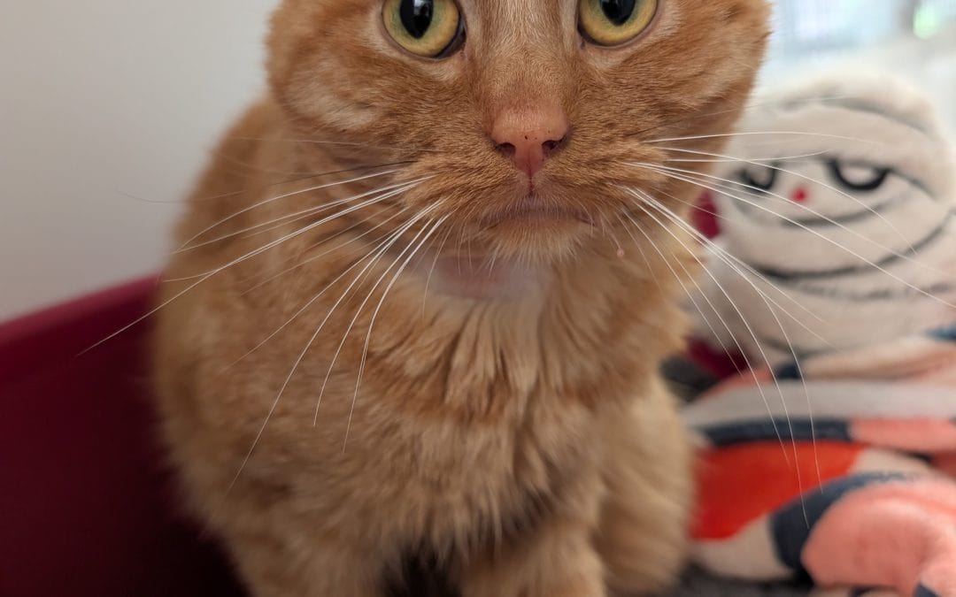 Barry