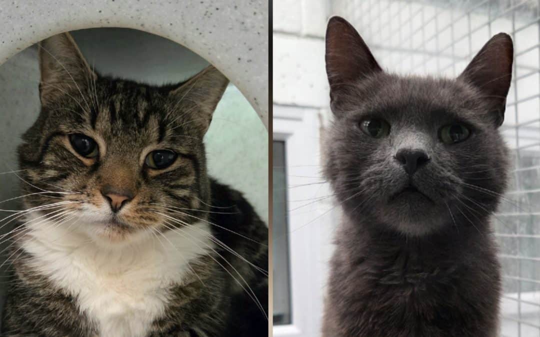 Max & Walter