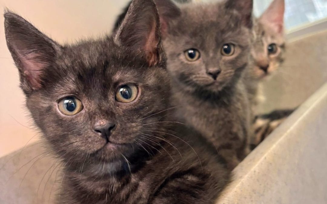 Edward, Jake, Nancy, Gloria & Noah